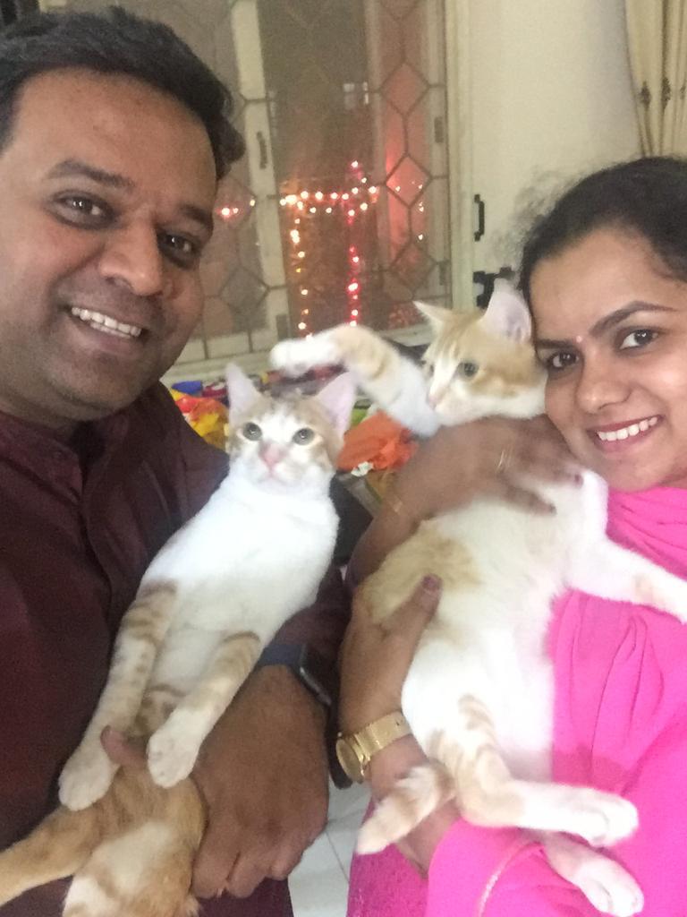 Bangalore Cat Squad - Home